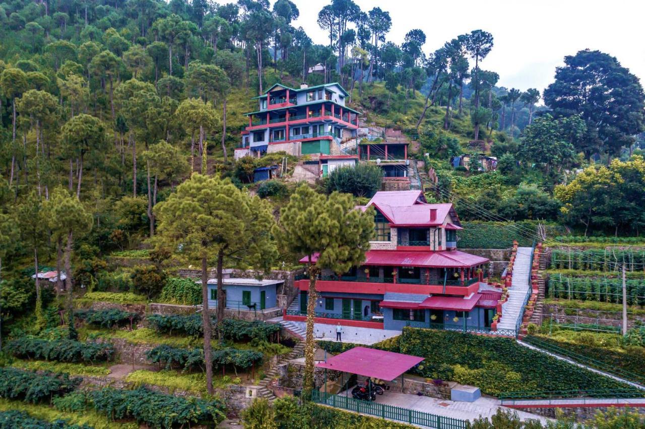 Stayvista At Cecil Cottages With Barbeque, Hill View Kasauli Dış mekan fotoğraf